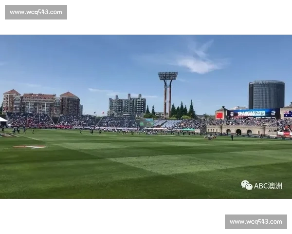 高清足球赛事直播APP下载指南畅享全球赛场精彩即时比分数据分析权威解说 - 副本 - 副本 - 副本 (52) - 副本 - 副本 - 副本 - 副本