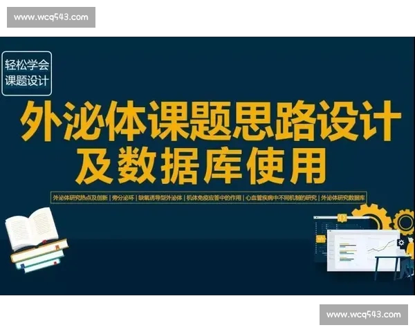 足球平台入口全面解析，带你轻松掌握最新玩法和优质赛事资源