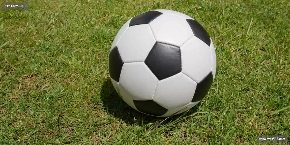 壹号电子娱乐官网入口🎾挥动球拍,击出精彩!在体育的战场上,做自己的冠军!